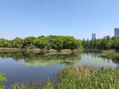 -艾溪湖湿地公园