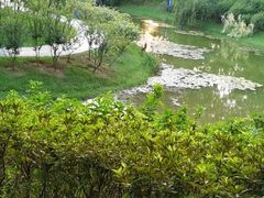 -东莞植物园