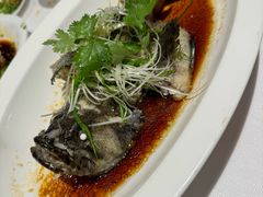 -顺峰(农展馆店)