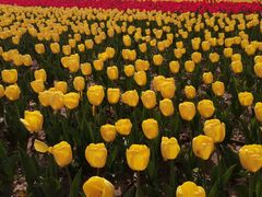 -咸阳湖景区-统一广场