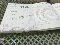 -观潮胜地公园