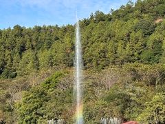 -广州白江湖森林公园