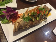 -Daddy Nimman Chiang Mai