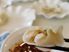 -东方饺子王(新阳路店)