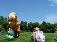 -杭州湾海上花田景区