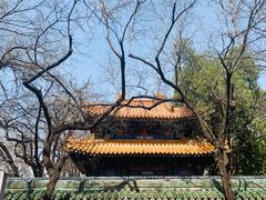 -北京国子监胡同