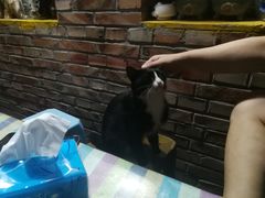 -新疆狼爷烤肉(宋庄店)