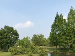 -上海佘山世茂艾美酒店