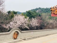 -蟒山国家森林公园天池停车场