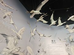 -中国湿地博物馆