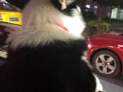 -重庆国际马戏城