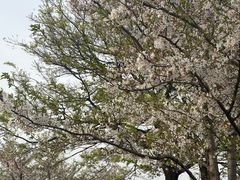 -幕燕滨江·燕子矶公园