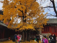 -承恩寺