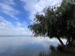 -捞渔河湿地公园