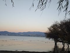 -洱海月湿地公园