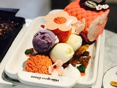 -哈根达斯(西安高新店)