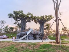 -九龙湖公园