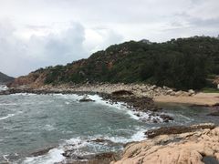 -广东惠东海龟国家级自然保护区