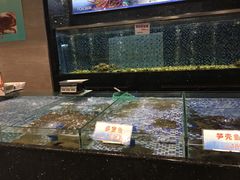 水产区-雅盛品931海鲜酒家