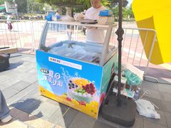 -维尔纳斯·生日蛋糕动物奶油冰淇淋蛋糕(人大店)
