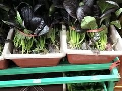 -天和晟烤鸭店(玉泉西街店)