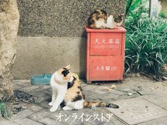-Ginger(兴国路店)