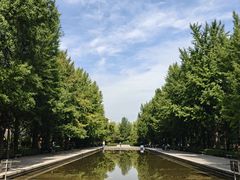 -玲珑塔公园