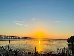 -宝安西湾红树林湿地公园