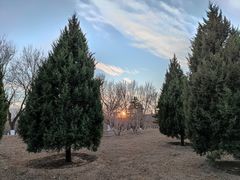 -永定河休闲森林公园