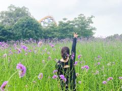 -雀儿山公园