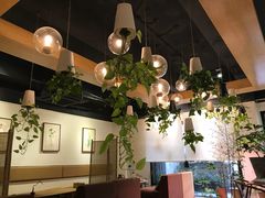 -柴务处·柴犬主题狗咖