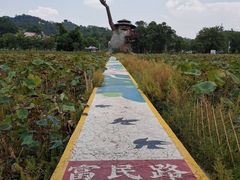 -红山村