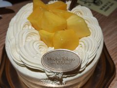 -布歌东京(金融街购物中心店)