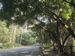 -大雁山风景区