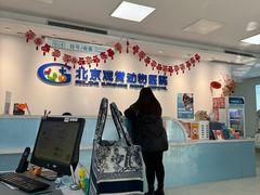 -北京观赏动物医院·24小时大型综合·猫专科·异宠专科
