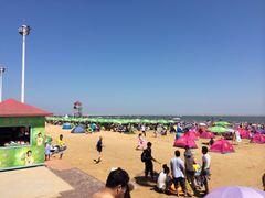 -碧海金沙