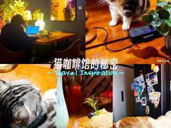 -咖法森林·咖啡  酒吧(天河店)