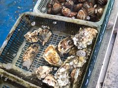 -海帮主·蒸汽海鲜青岛菜(栈桥火车站店)