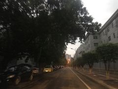 -老鞑子烤羊腿(海口店)