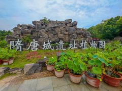 -洛阳市隋唐城遗址植物园