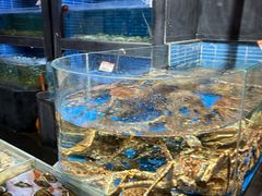 -徐记海鲜·宴会(大唐西市|丰庆店)