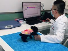 -欧奕国际动物医院