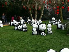 -成都大熊猫繁育研究基地