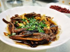 -动邦皮划艇·桨板·独木舟·团建户外运动俱乐部