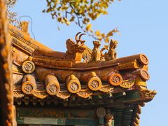 -故宫博物院(故宫)
