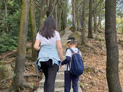 -火炉山森林公园