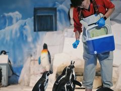 -合肥海洋世界