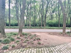 -扬州市茱萸湾风景区