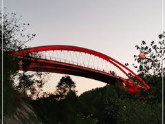 -金鸡山公园