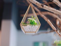 -十五食吾 La Pâtisserie (海甸岛店)
